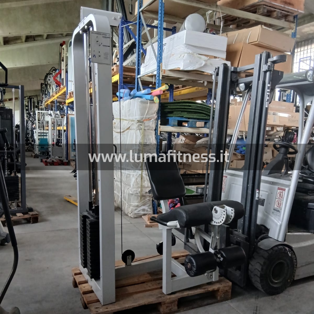 Leg Extension Usato Fassi