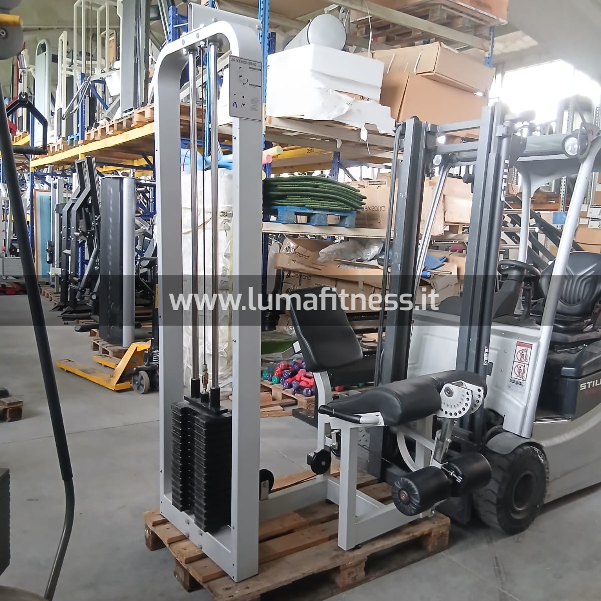 Leg Extension Usato Fassi - immagine 2