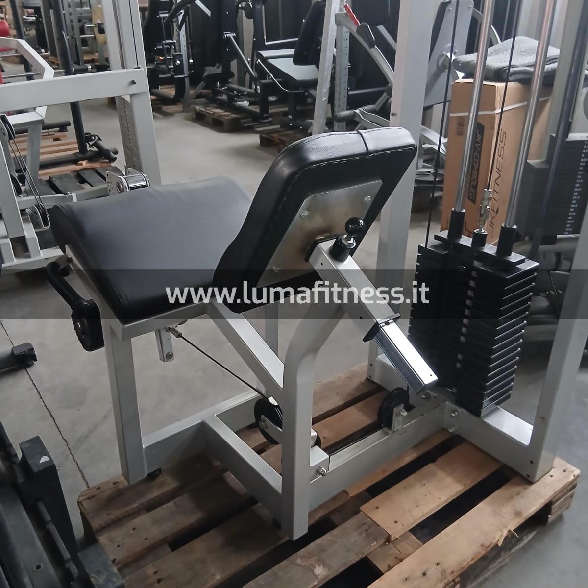 Leg Extension Usato Fassi - immagine 9