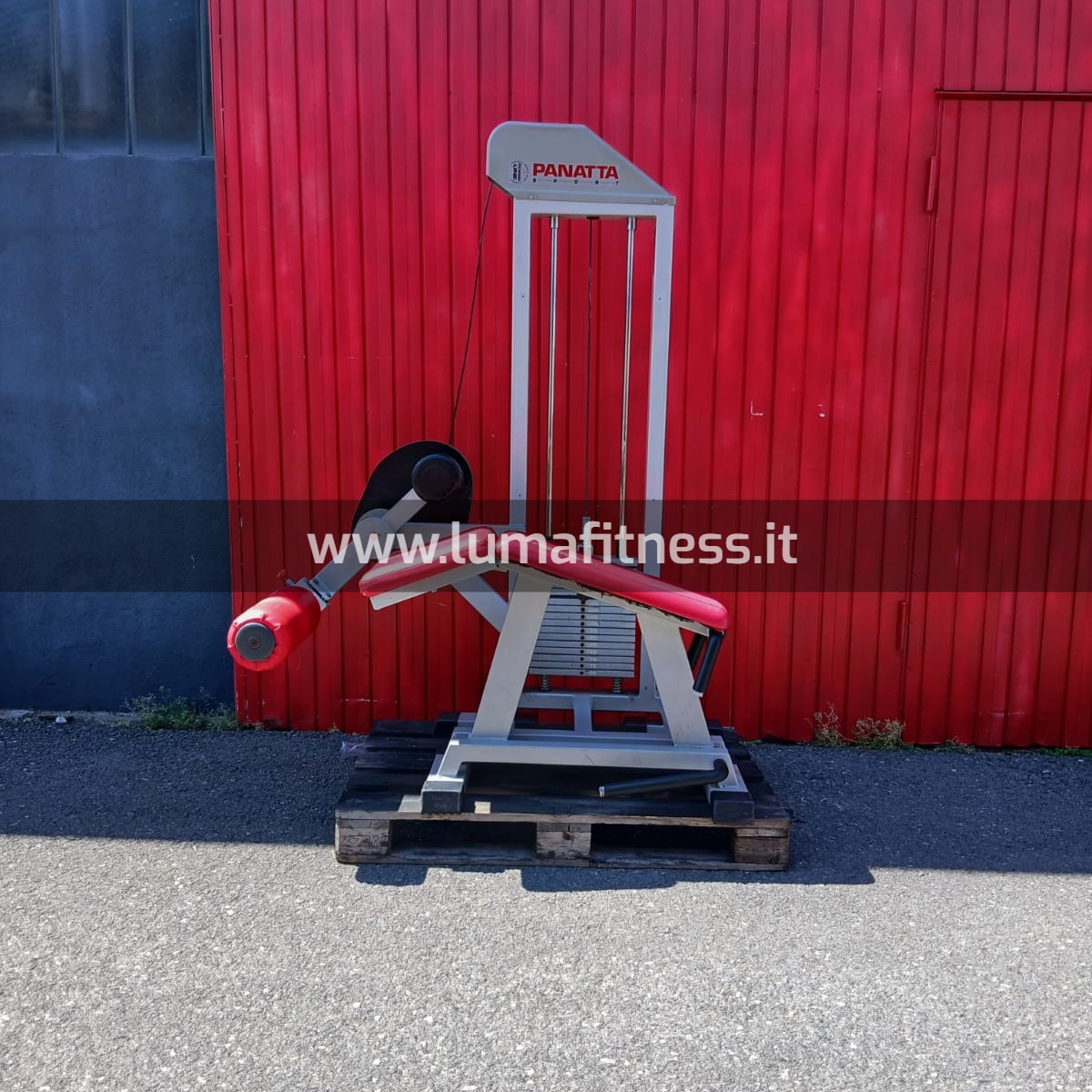 Panatta Usato Leg Curl prono Fit2000 - immagine 7