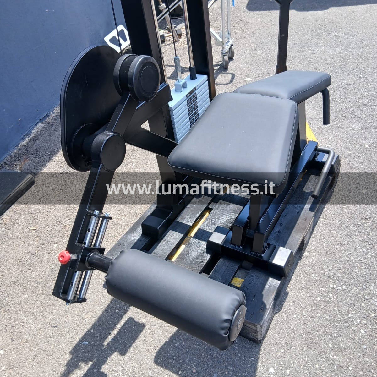 Panatta Usato Leg Curl prono Fit2000 - immagine 11