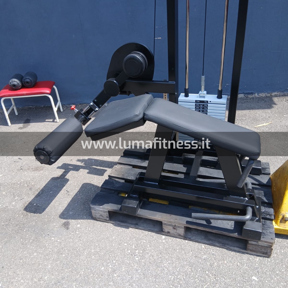Panatta Usato Leg Curl prono Fit2000 - immagine 10
