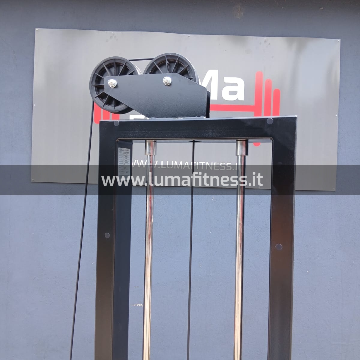 Panatta Usato Leg Curl prono Fit2000 - immagine 9