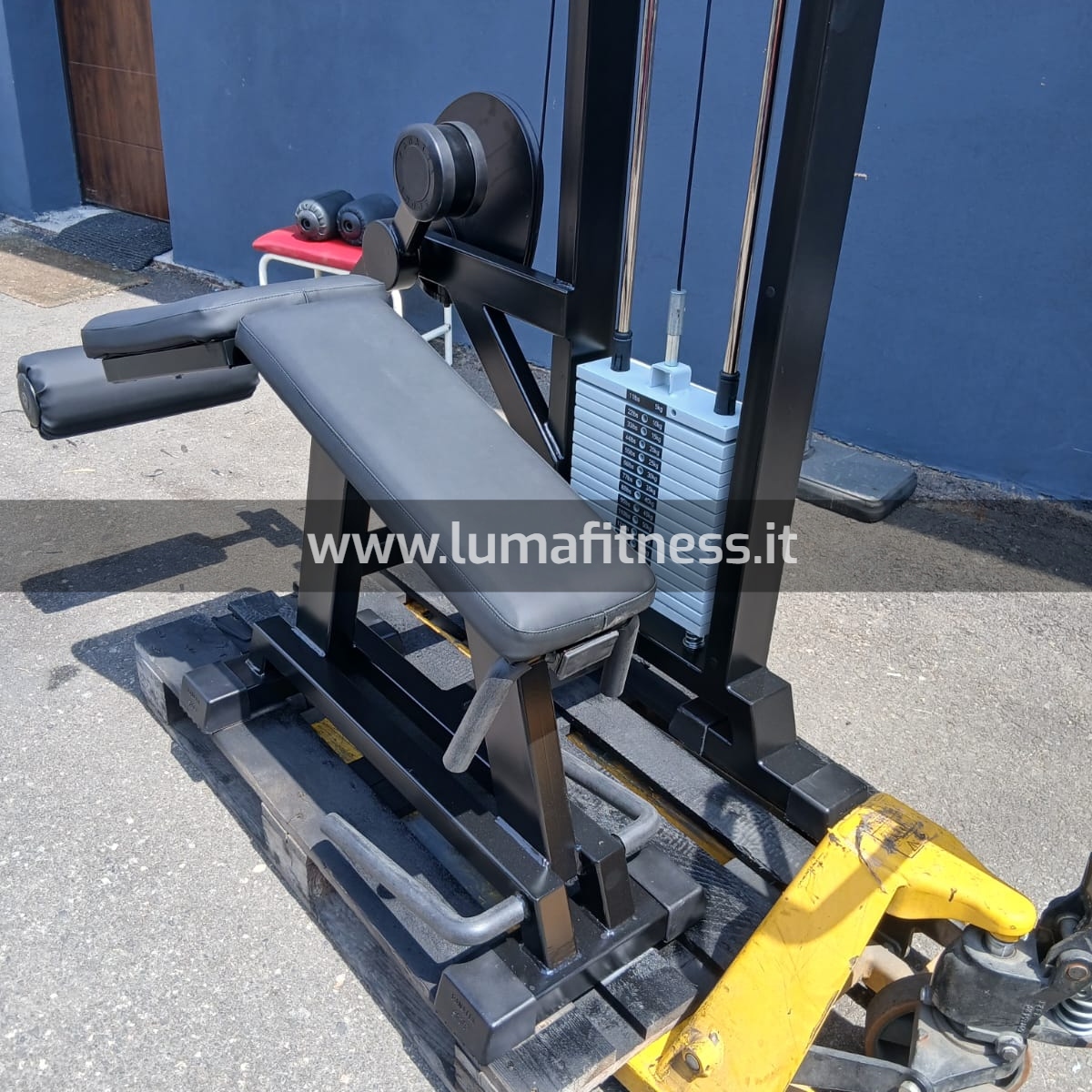 Panatta Usato Leg Curl prono Fit2000 - immagine 6