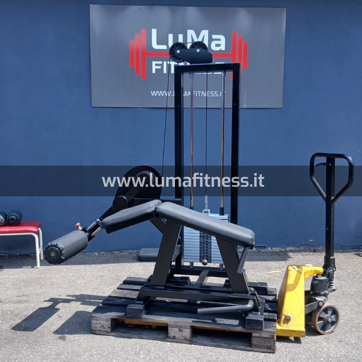 Panatta Usato Leg Curl prono Fit2000 - immagine 5