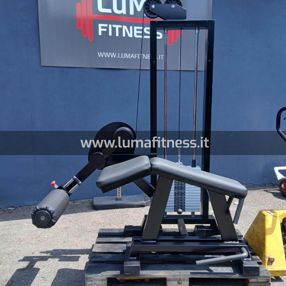 Panatta Usato Leg Curl prono Fit2000 - immagine 4