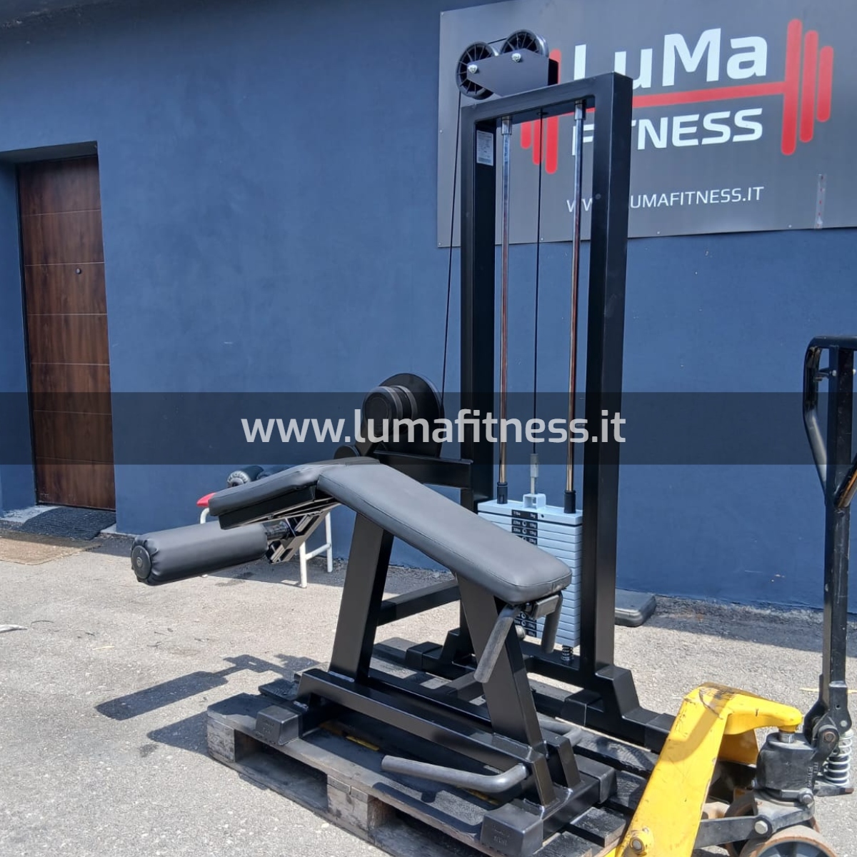 Panatta Usato Leg Curl prono Fit2000 - immagine 3