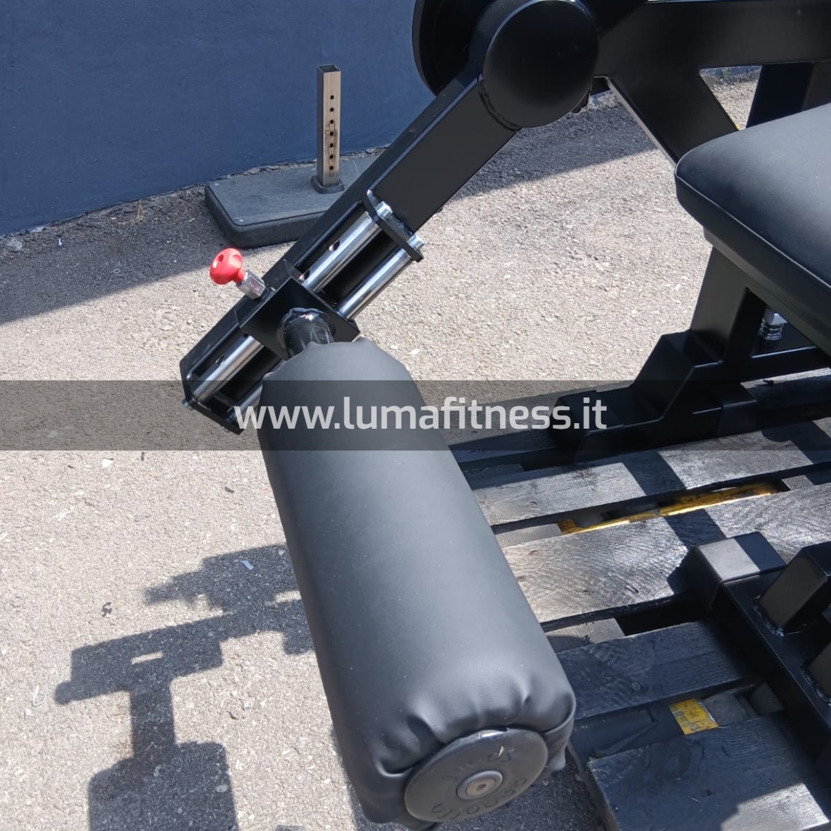 Panatta Usato Leg Curl prono Fit2000 - immagine 2