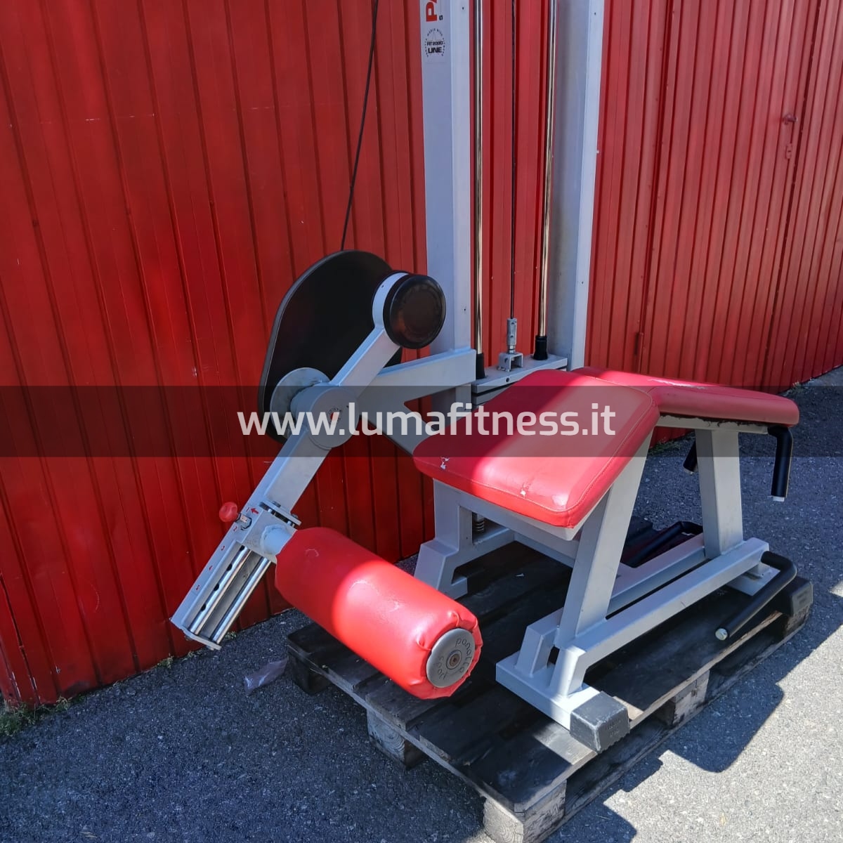 Panatta Usato Leg Curl prono Fit2000 - immagine 5