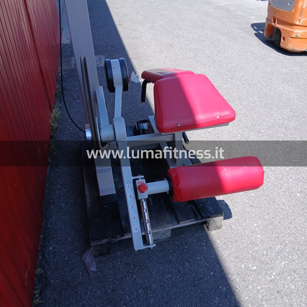 Panatta Usato Leg Curl prono Fit2000 - immagine 4