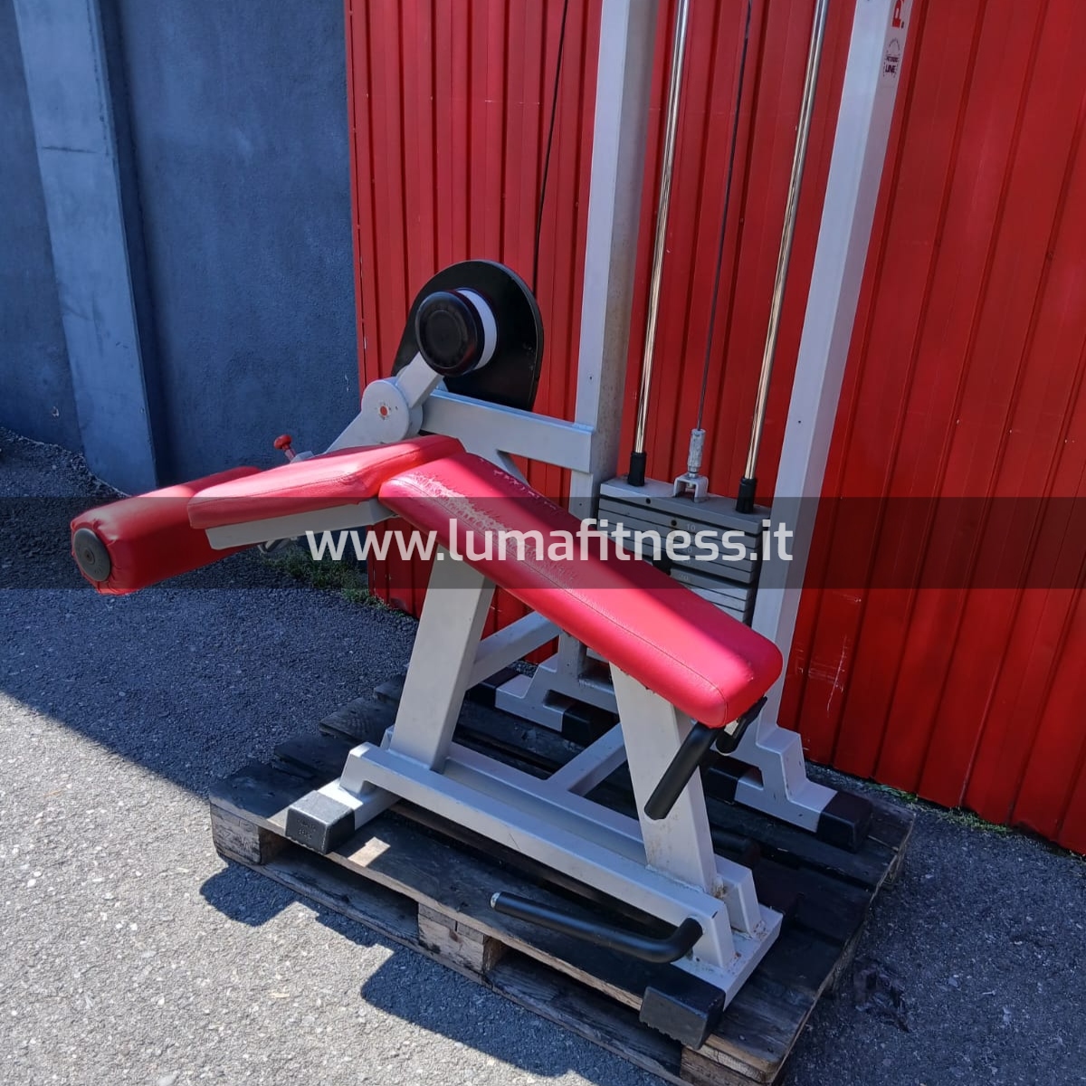 Panatta Usato Leg Curl prono Fit2000 - immagine 2