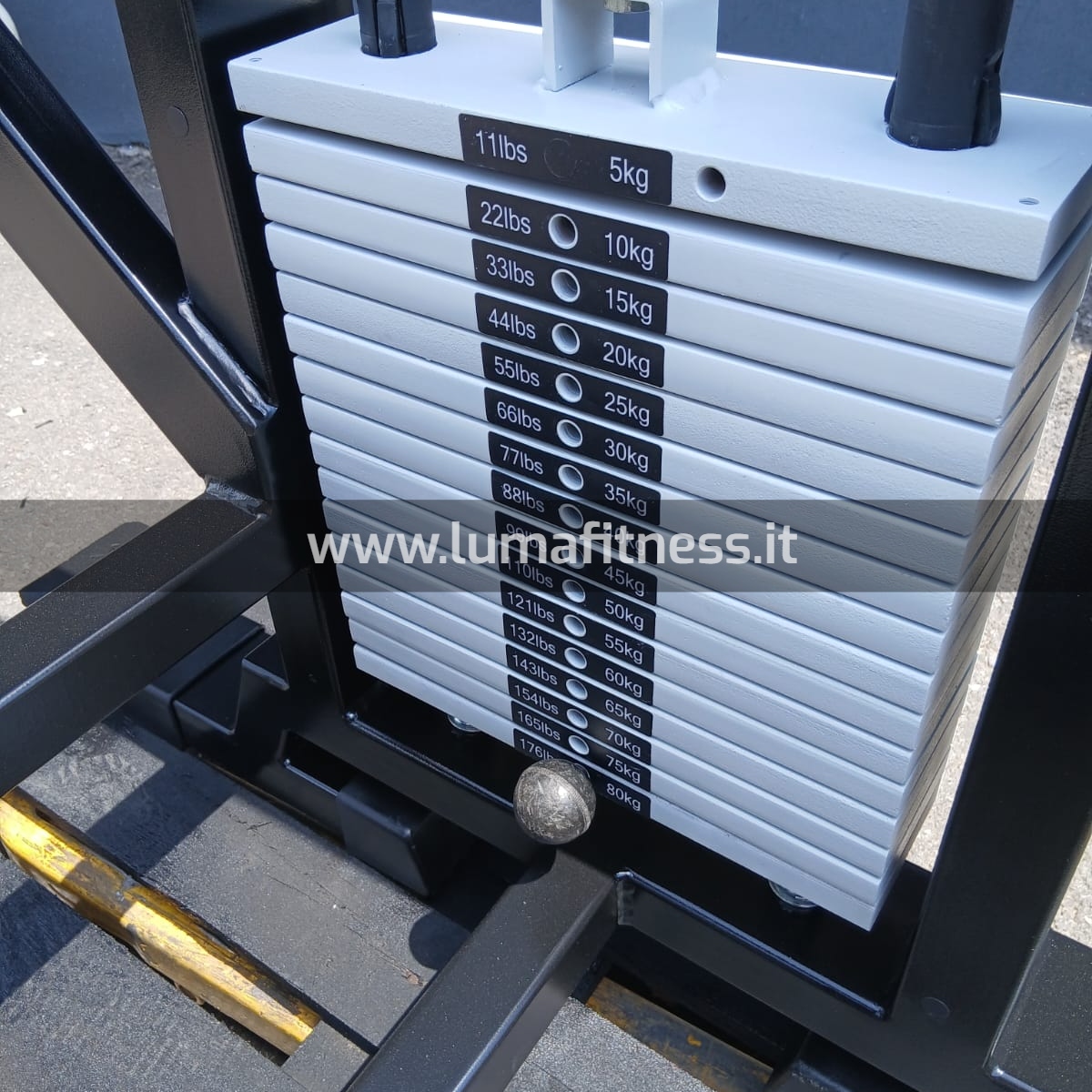 Panatta Usato Leg Curl prono Fit2000 - immagine 13