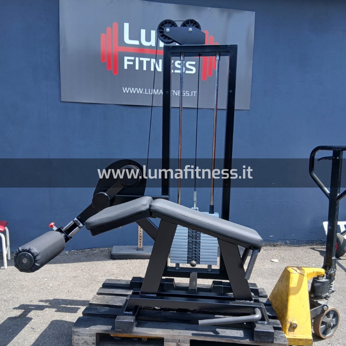 Panatta Usato Leg Curl prono Fit2000 - immagine 12