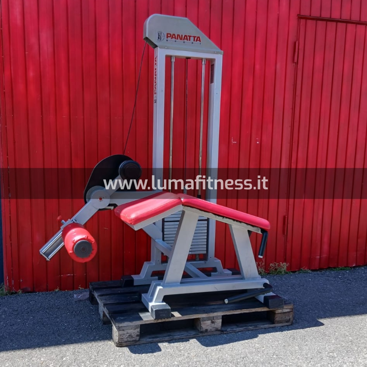 Panatta Usato Leg Curl prono Fit2000 - immagine 8