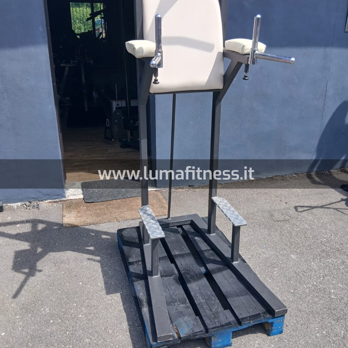 Panca Chin Dip Trazioni Usato - immagine 2