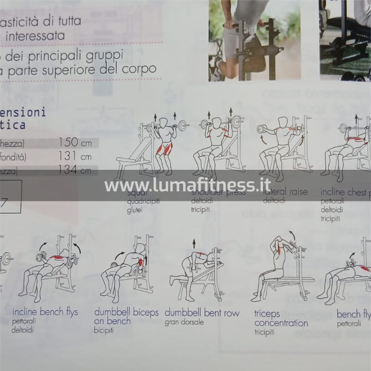 Panca Regolabile Pratica Technogym Usato - immagine 9
