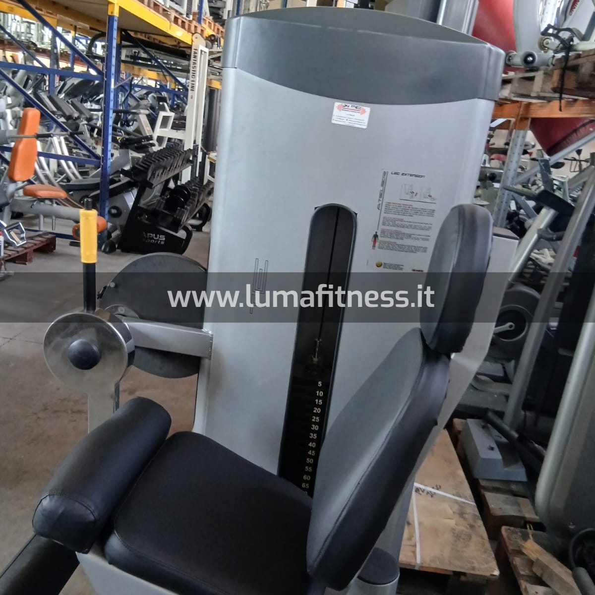 Leg Extension Oemmebi - immagine 7