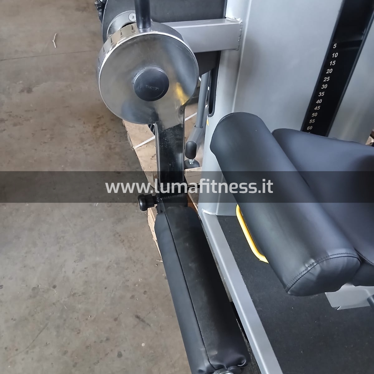 Leg Extension Oemmebi - immagine 10