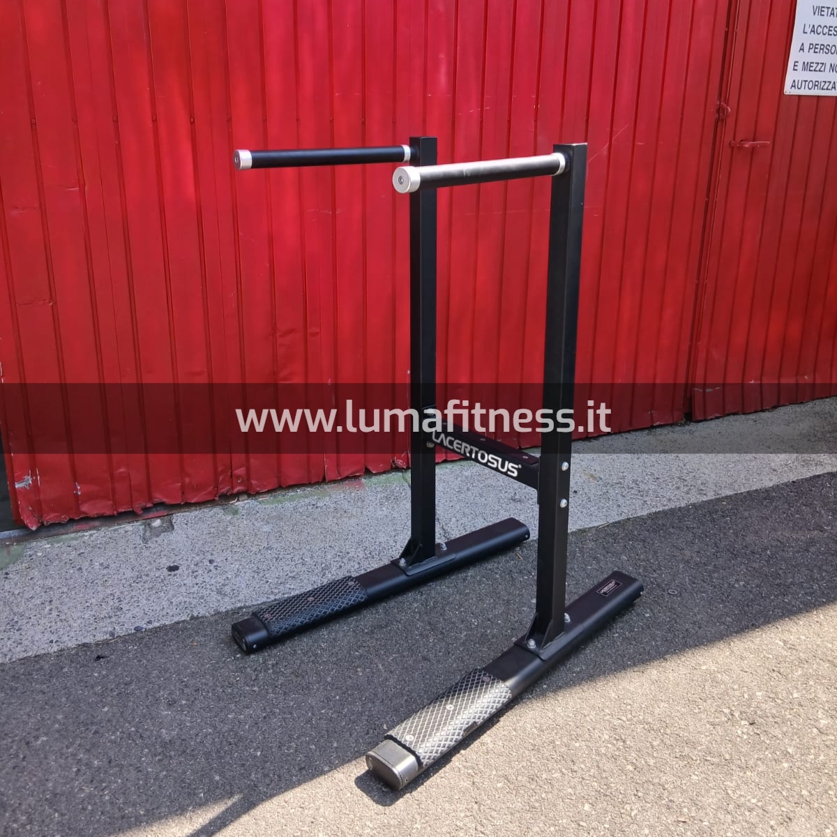 Panca Dip Station Usato Lacertosus Parallele - immagine 7