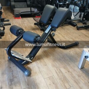 Panca Lombari hyperextension Usato Ganas