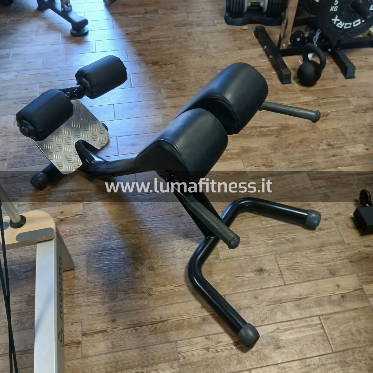 Panca Lombari hyperextension Usato Ganas - immagine 4
