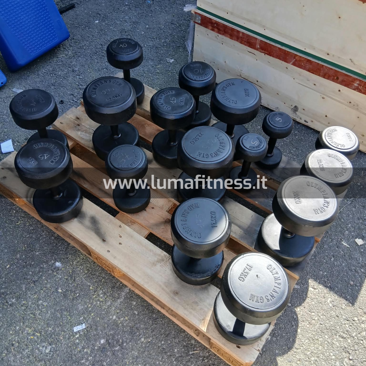 Manubri Usati Olympian's Gym 5 - 22,5 kg - immagine 3