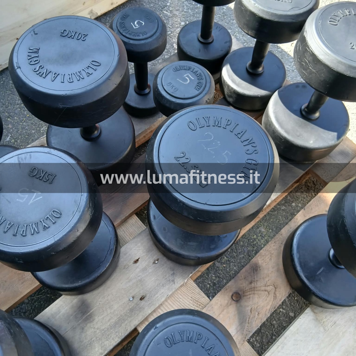 Manubri Usati Olympian's Gym 5 - 22,5 kg - immagine 8