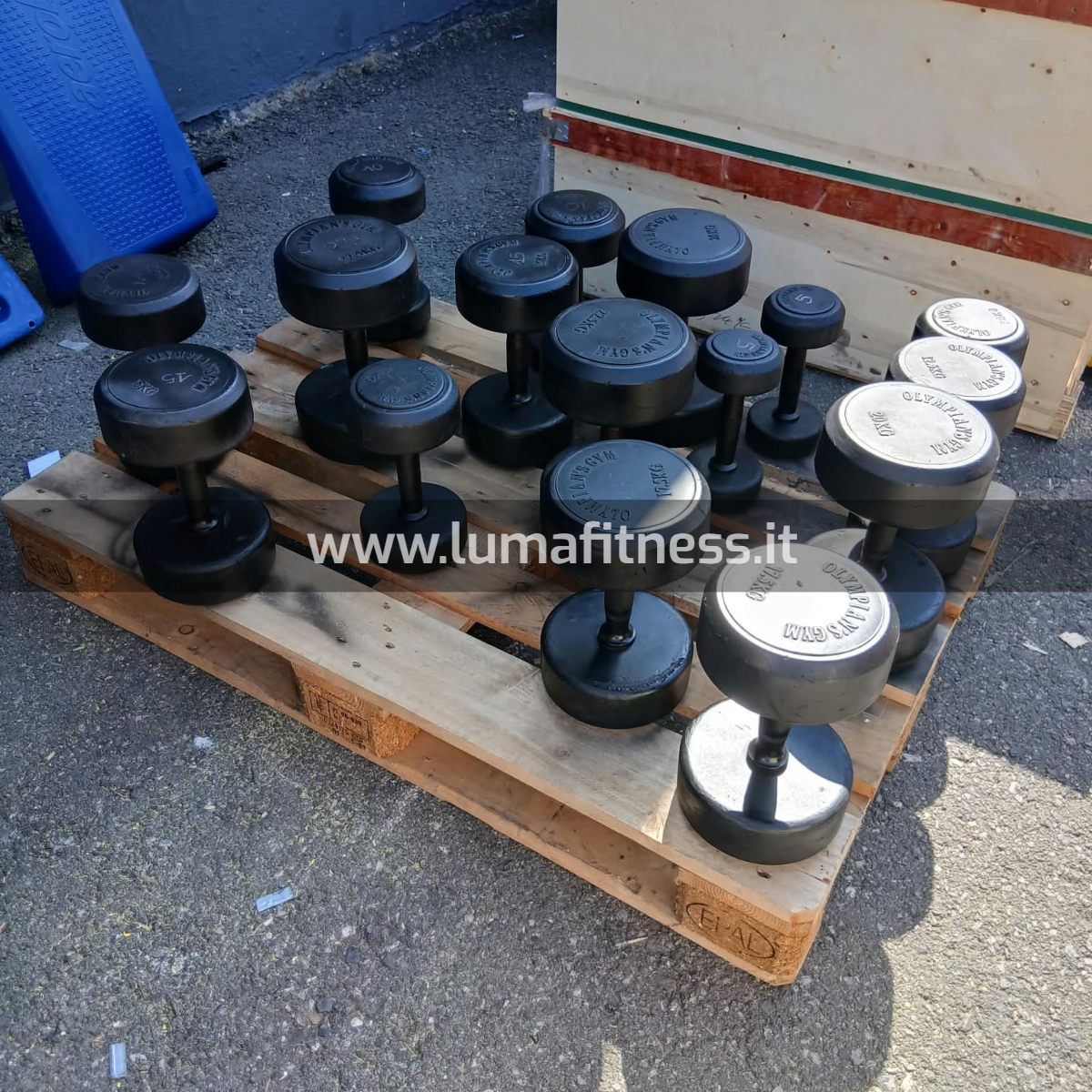Manubri Usati Olympian's Gym 5 - 22,5 kg - immagine 2