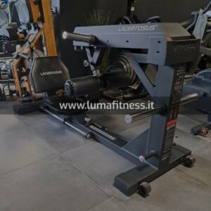 Lacertosus Usato Glute Thruster Hip Thrust (LCT-GT)