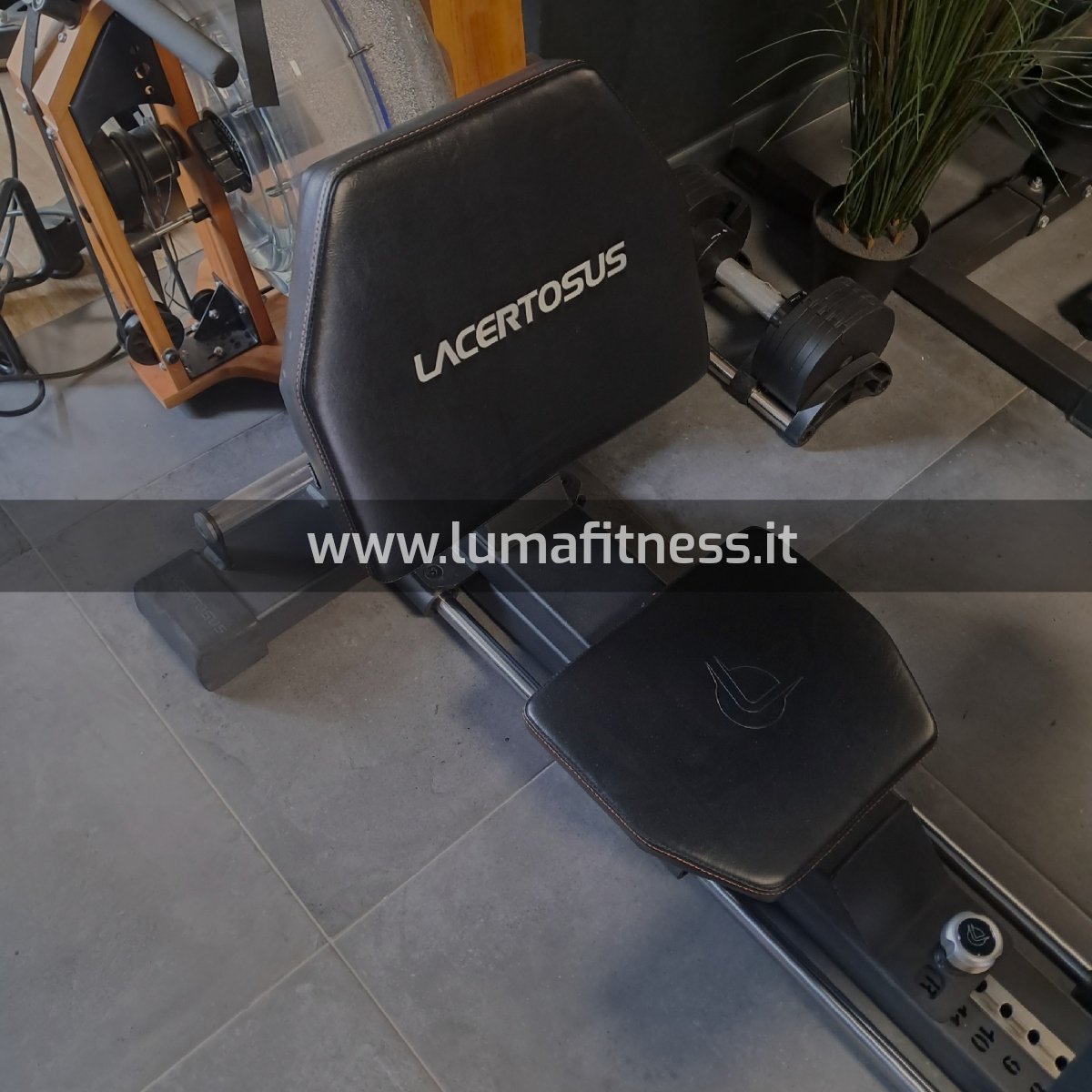 Lacertosus Usato Glute Thruster Hip Thrust (LCT-GT) - immagine 7