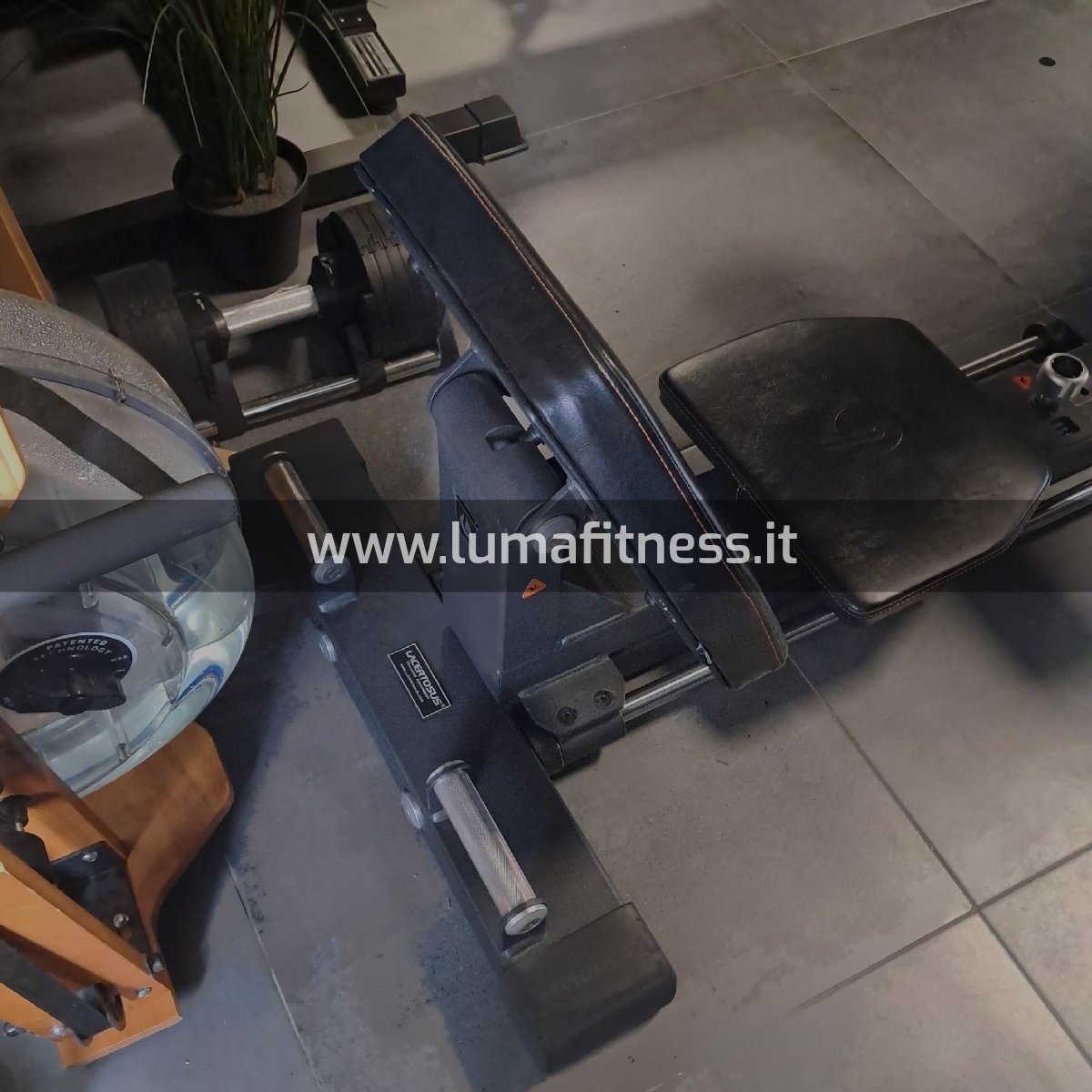 Lacertosus Usato Glute Thruster Hip Thrust (LCT-GT) - immagine 5