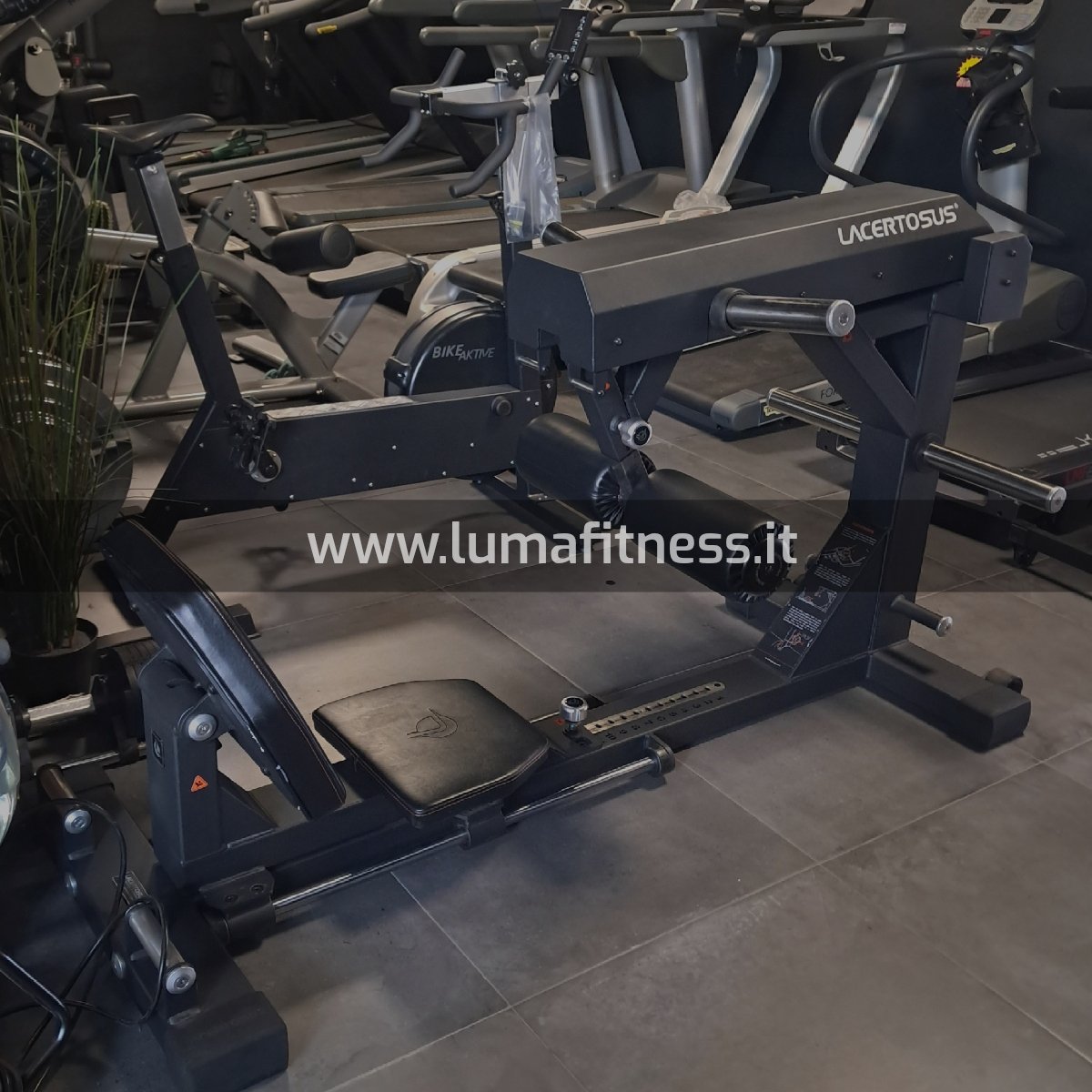 Lacertosus Usato Glute Thruster Hip Thrust (LCT-GT) - immagine 6