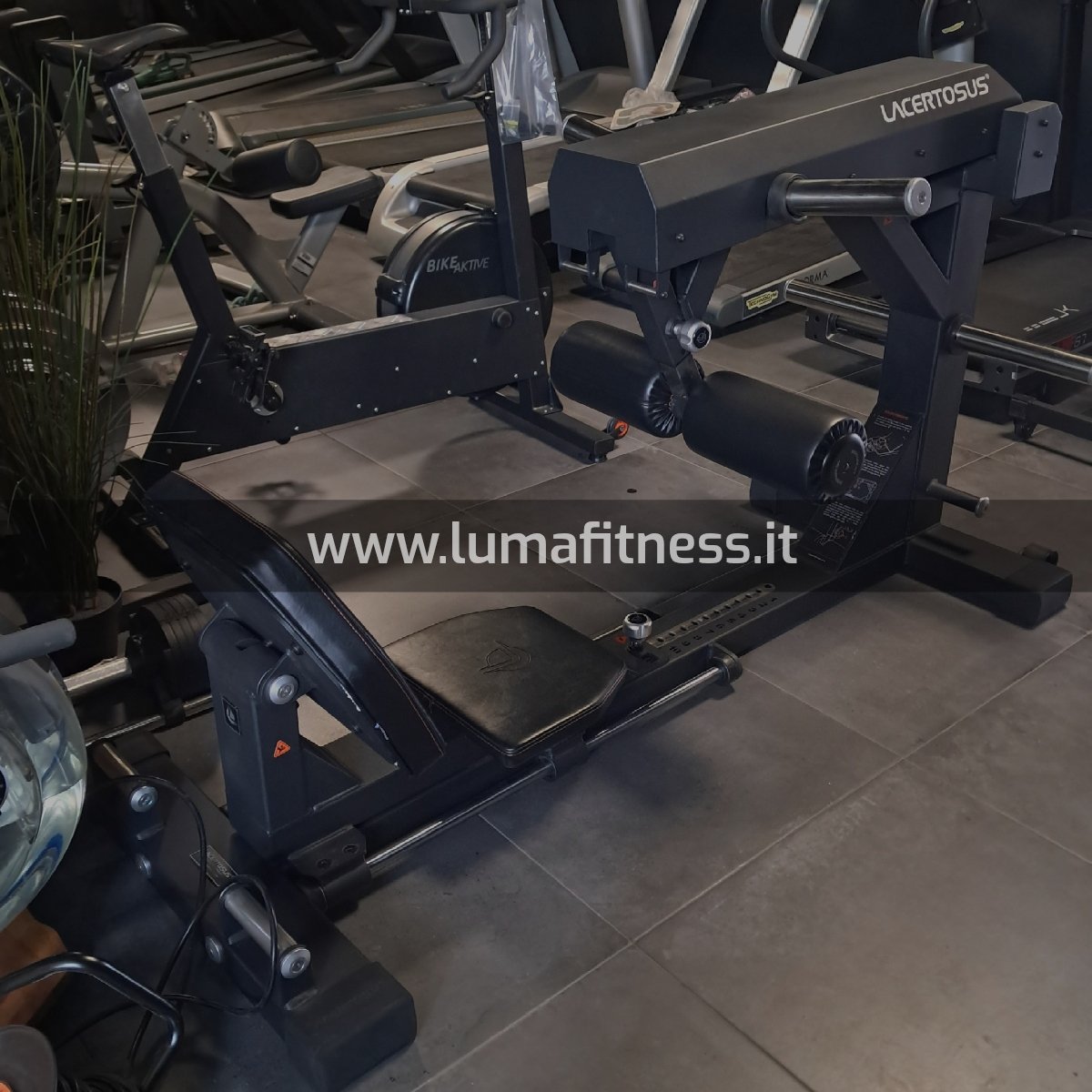 Lacertosus Usato Glute Thruster Hip Thrust (LCT-GT) - immagine 4