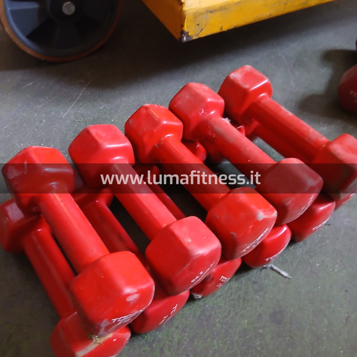 Kit Usato Manubri per corsi fitness KIT0042 - immagine 8