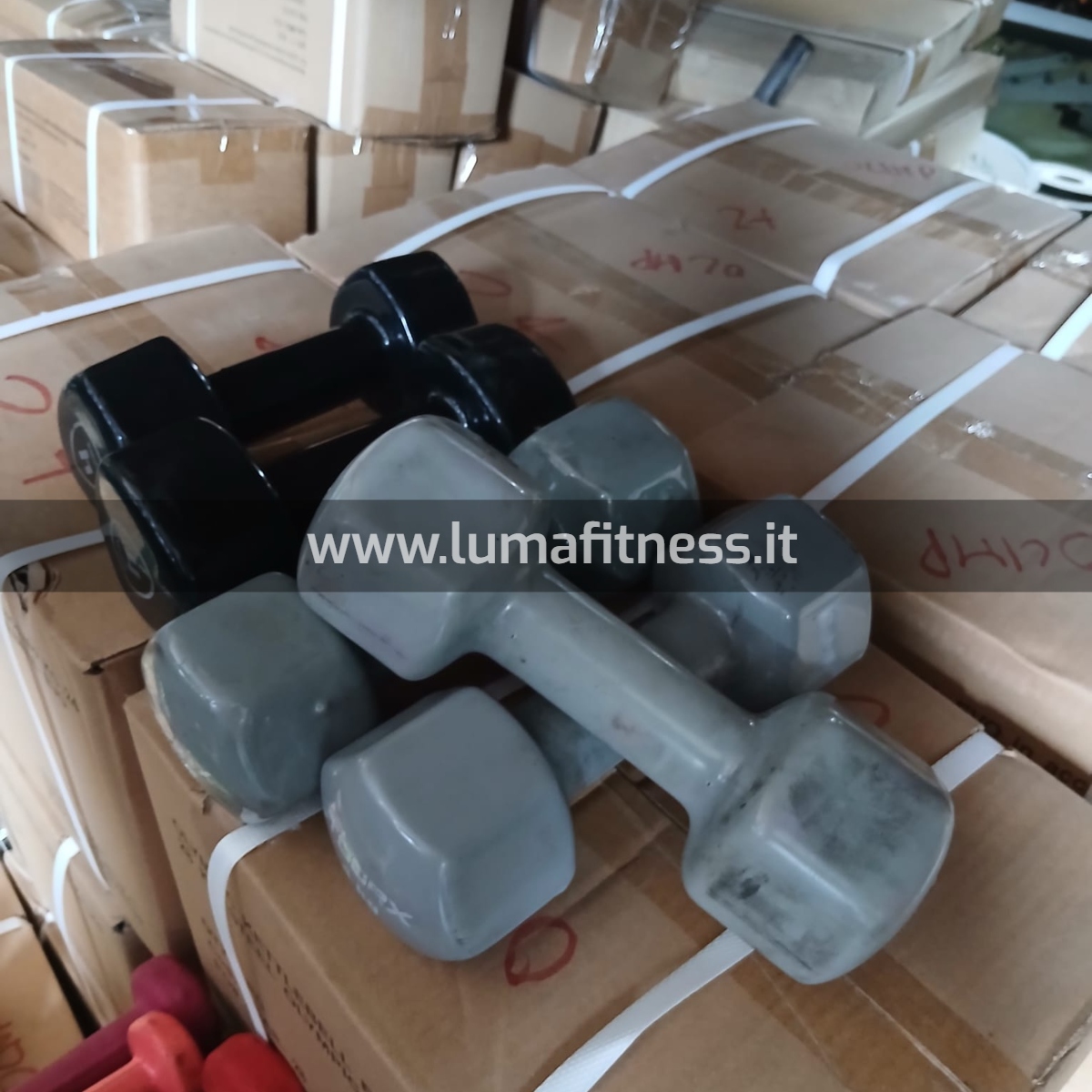 Kit Usato Manubri per corsi fitness KIT0042 - immagine 15