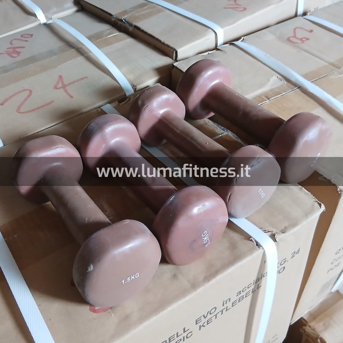Kit Usato Manubri per corsi fitness KIT0043 - immagine 9