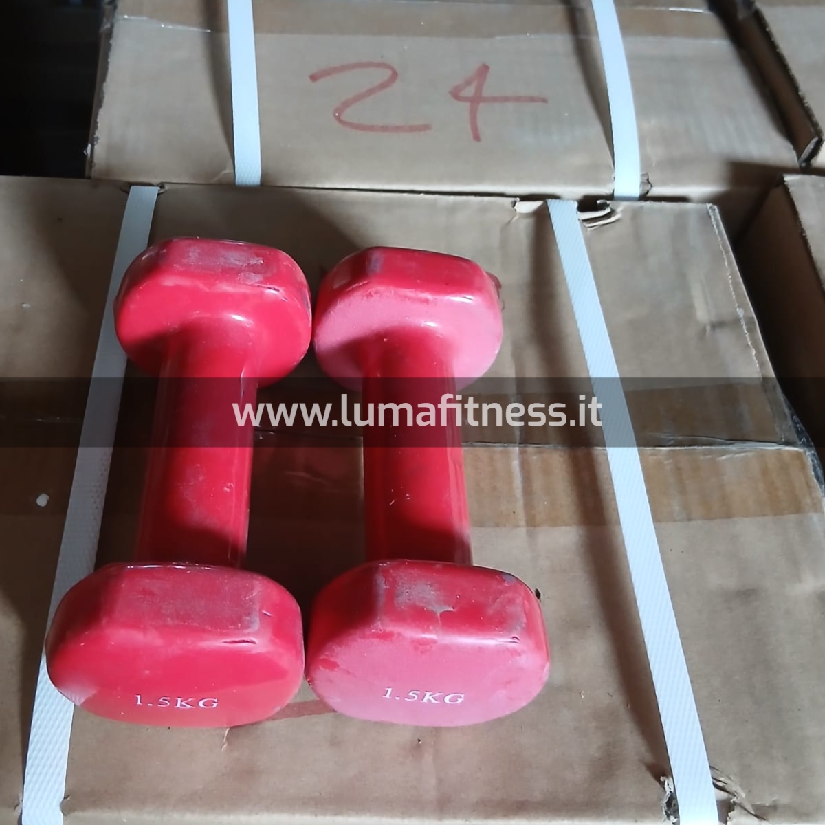 Kit Usato Manubri per corsi fitness KIT0043 - immagine 7