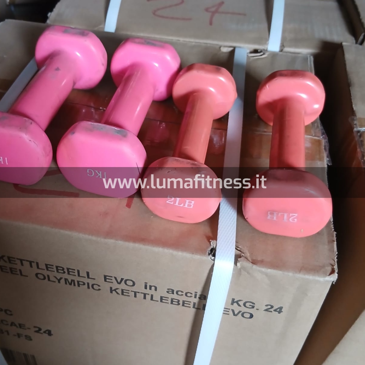 Kit Usato Manubri per corsi fitness KIT0043 - immagine 6