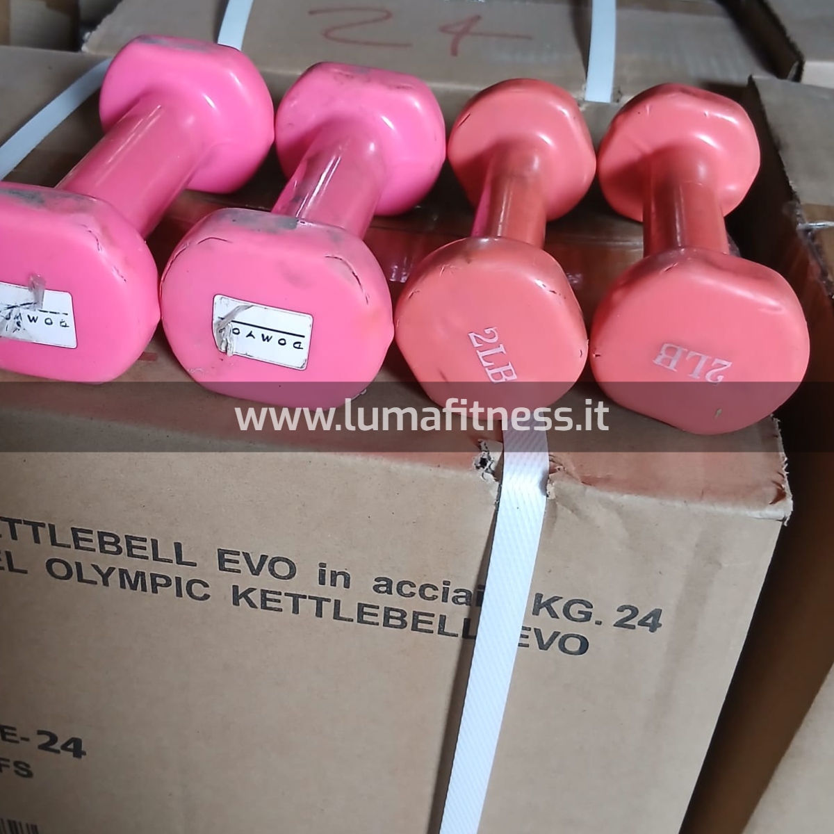 Kit Usato Manubri per corsi fitness KIT0043 - immagine 5