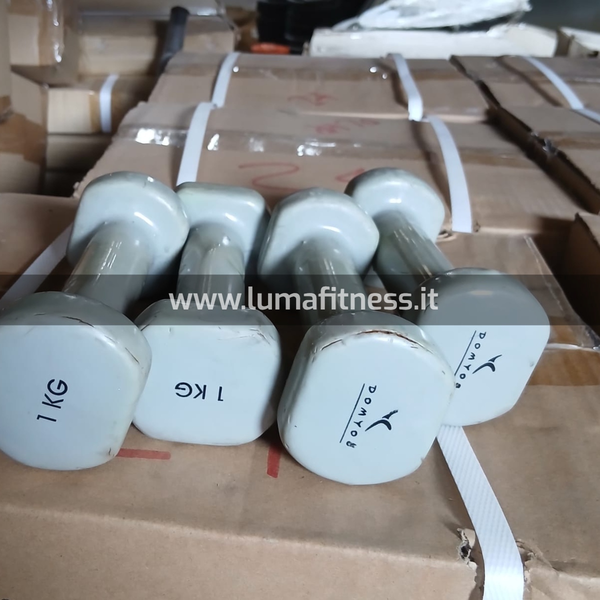 Kit Usato Manubri per corsi fitness KIT0043 - immagine 4
