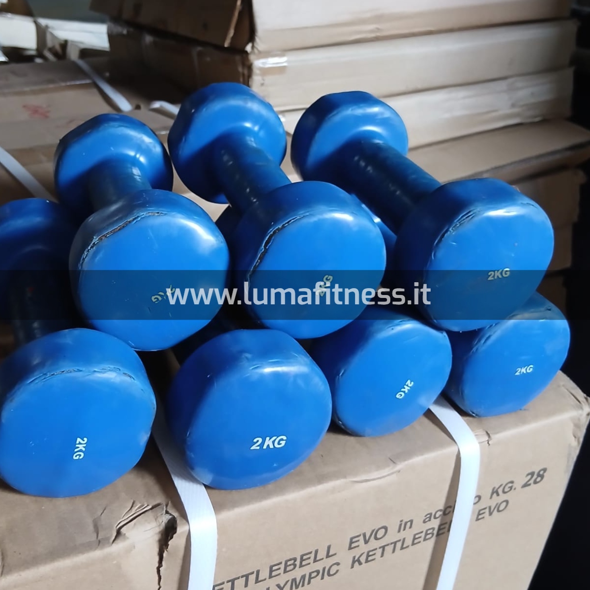 Kit Usato Manubri per corsi fitness KIT0043 - immagine 13