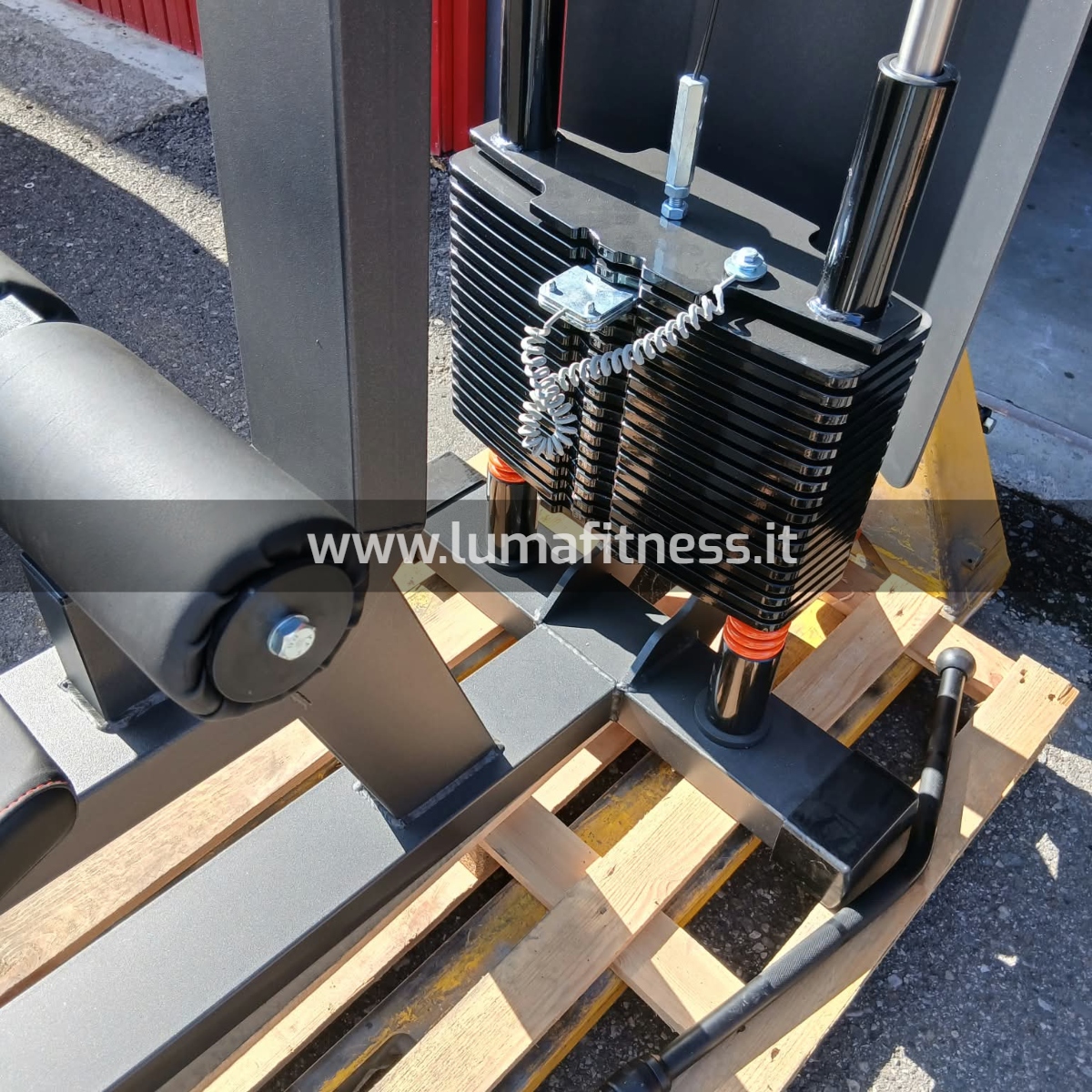 Lacertosus Usato Lat Machine Club Line Lacertosus (CB-LPD) - immagine 6