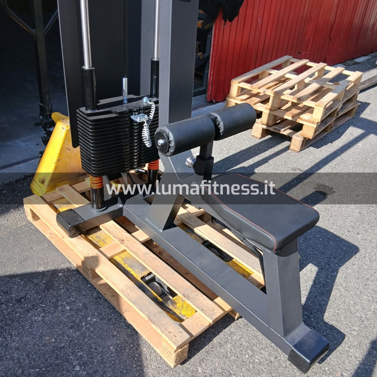 Lacertosus Usato Lat Machine Club Line Lacertosus (CB-LPD) - immagine 5