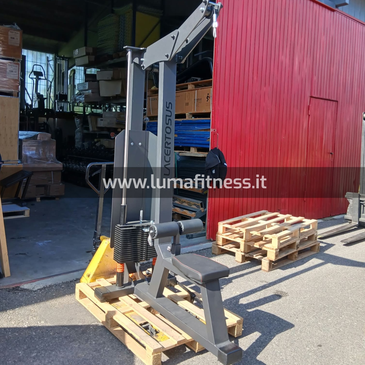 Lacertosus Usato Lat Machine Club Line Lacertosus (CB-LPD) - immagine 4