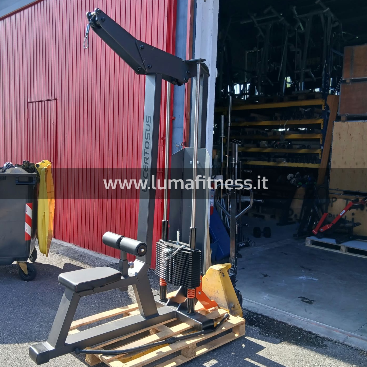 Lacertosus Usato Lat Machine Club Line Lacertosus (CB-LPD) - immagine 3