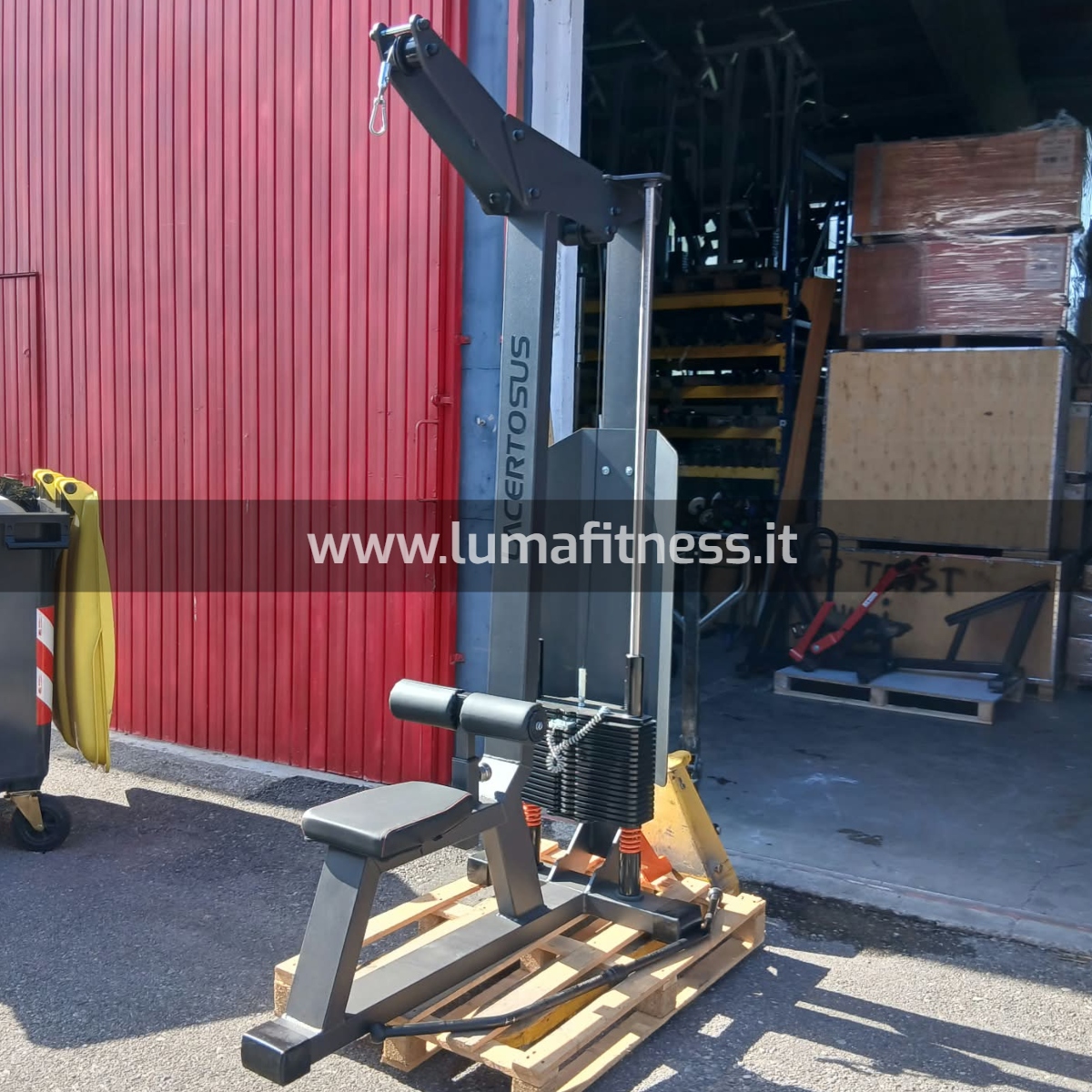Lacertosus Usato Lat Machine Club Line Lacertosus (CB-LPD)