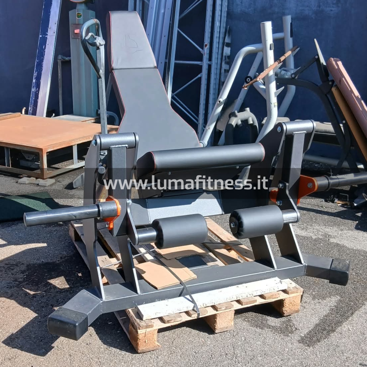 Lacertosus Usato Leg Extension Club Line Lacertosus (CB-LE) - immagine 9