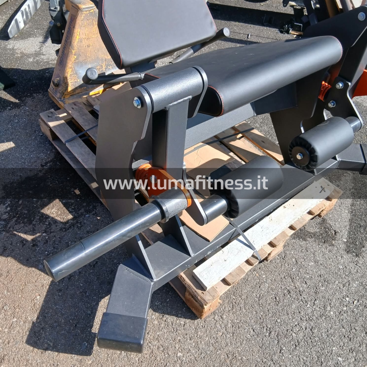 Lacertosus Usato Leg Extension Club Line Lacertosus (CB-LE) - immagine 8