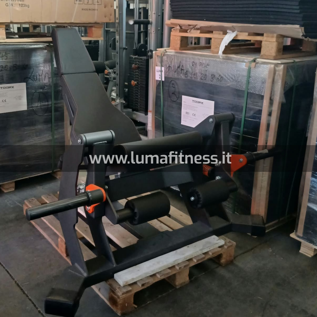 Lacertosus Usato Leg Extension Club Line Lacertosus (CB-LE)