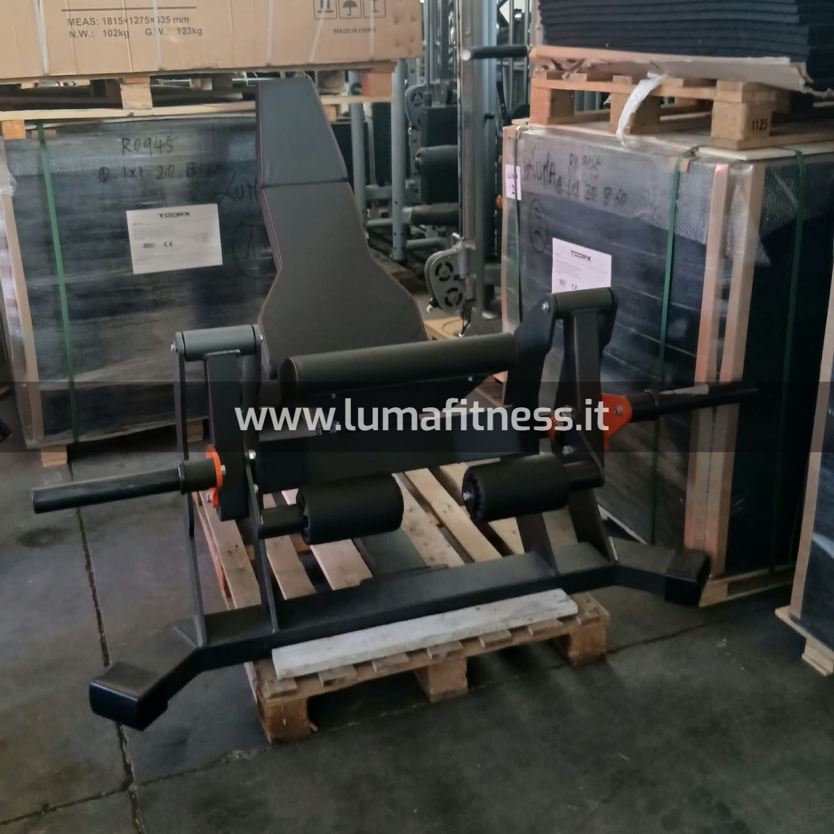Lacertosus Usato Leg Extension Club Line Lacertosus (CB-LE) - immagine 4